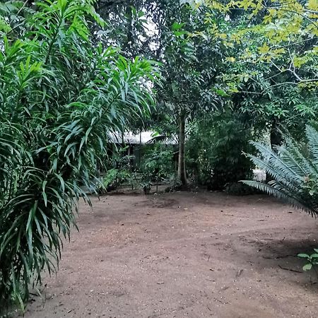 Sigiri Mango Garden Eco Resort Сигирия Екстериор снимка