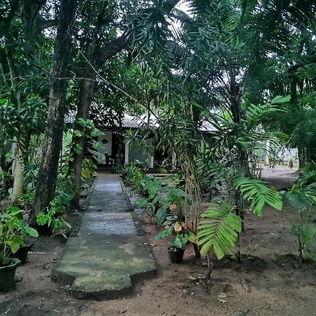 Sigiri Mango Garden Eco Resort Сигирия Екстериор снимка
