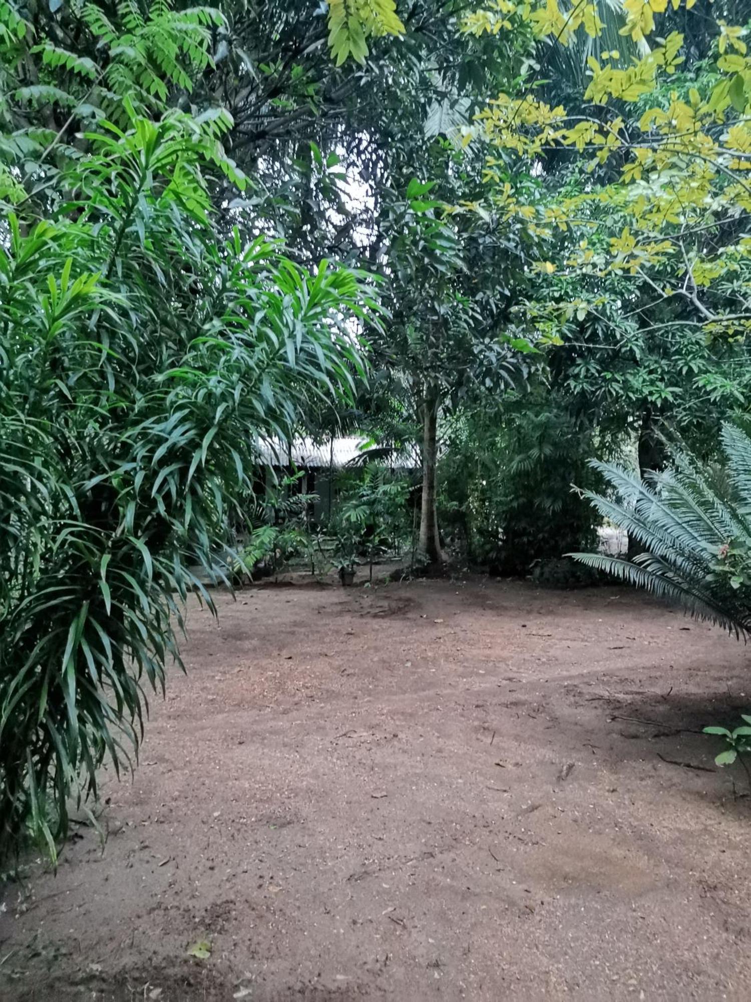 Sigiri Mango Garden Eco Resort Сигирия Екстериор снимка