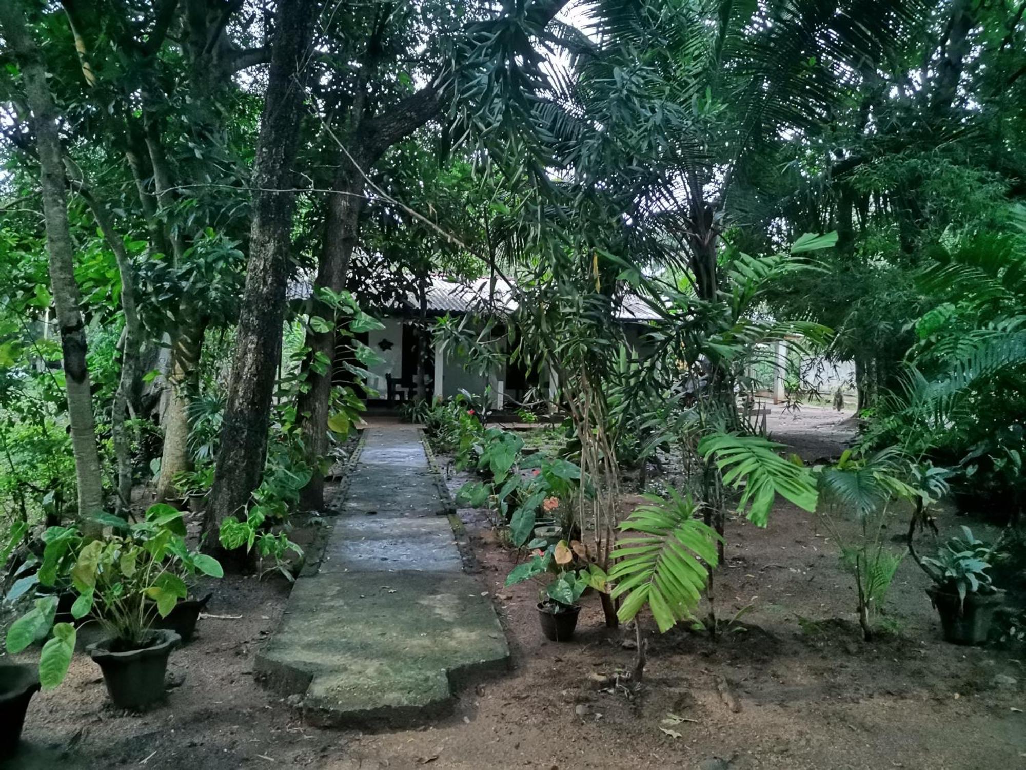 Sigiri Mango Garden Eco Resort Сигирия Екстериор снимка