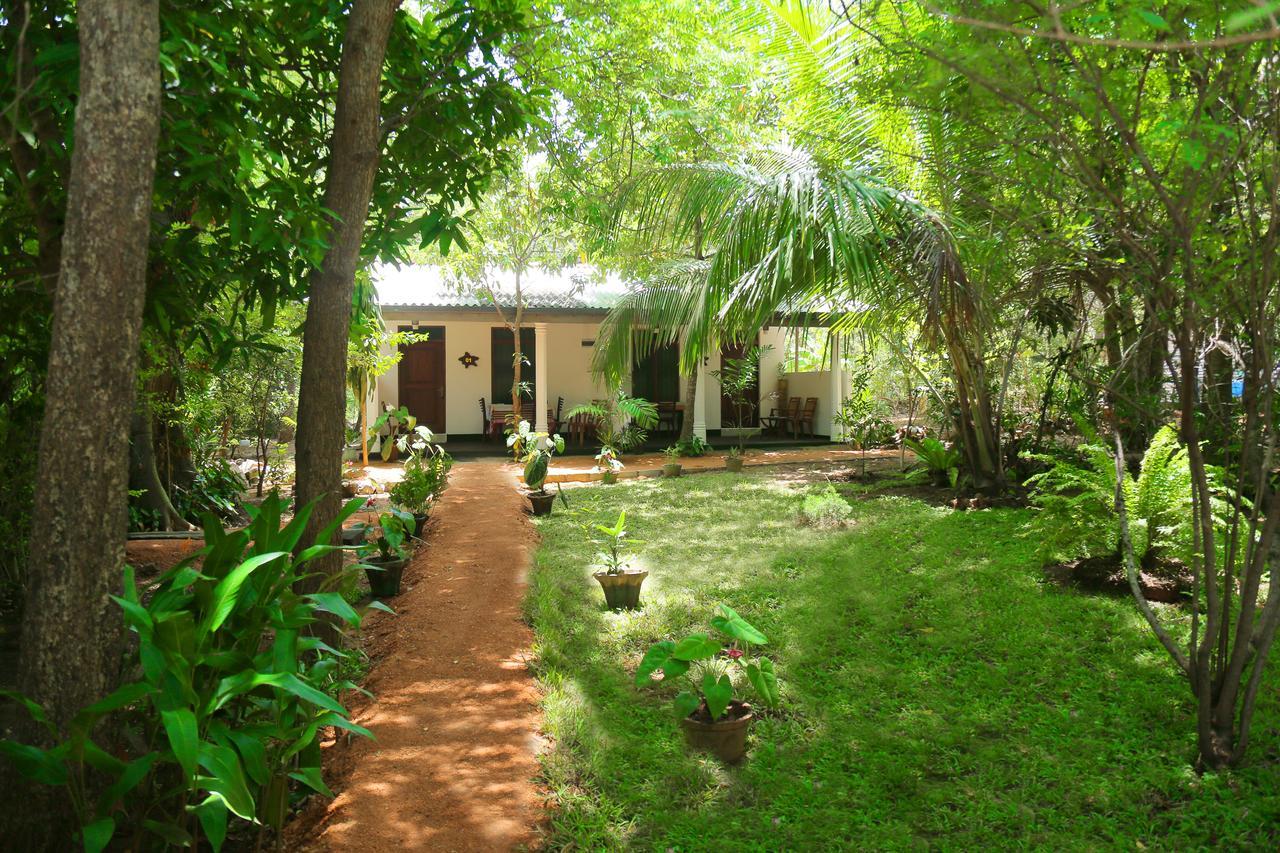Sigiri Mango Garden Eco Resort Сигирия Екстериор снимка